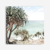 Shop Palm Tree Views III (Square) Photo Canvas a coastal themed photography framed stretched canvas print from The Print Emporium wall artwork collection - Buy Australian made prints for the home and your interior decor space, TPE-947-CA-40X40-NF