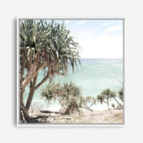 Shop Palm Tree Views III (Square) Photo Canvas a coastal themed photography framed stretched canvas print from The Print Emporium wall artwork collection - Buy Australian made prints for the home and your interior decor space, TPE-947-CA-40X40-NF