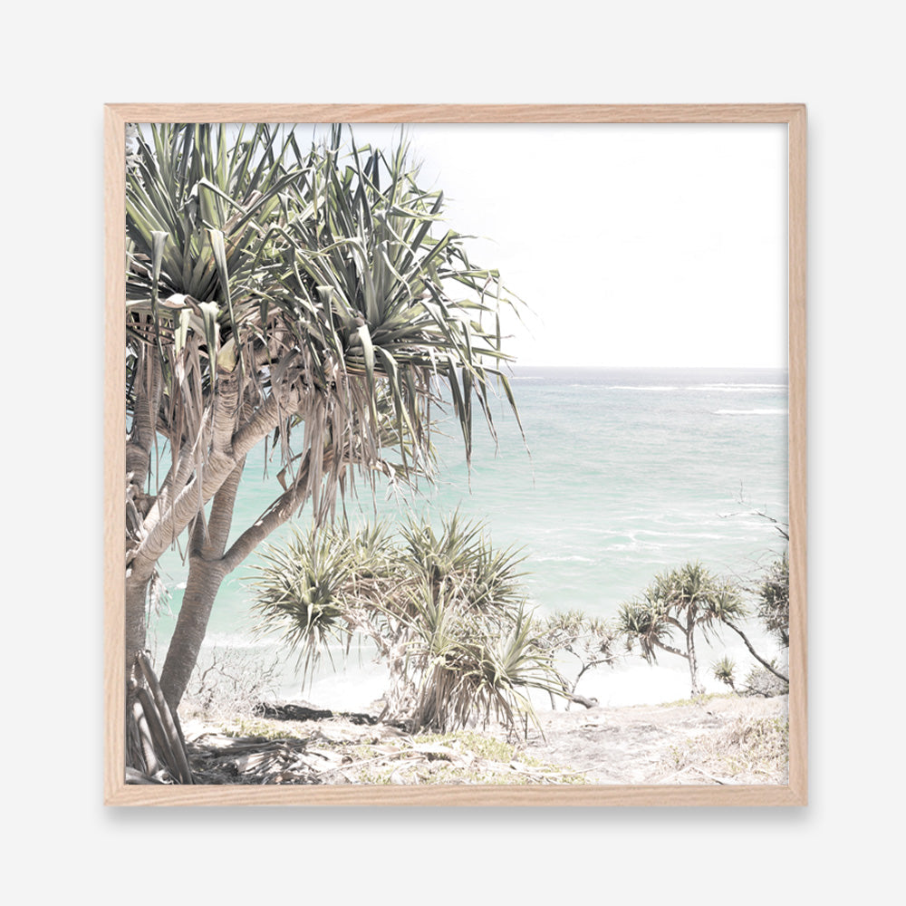 Shop Palm Tree Views (Square) Photo Art Print a coastal themed photography wall art print from The Print Emporium wall artwork collection - Buy Australian made fine art poster and framed prints for the home and your interior decor, TPE-452-AP