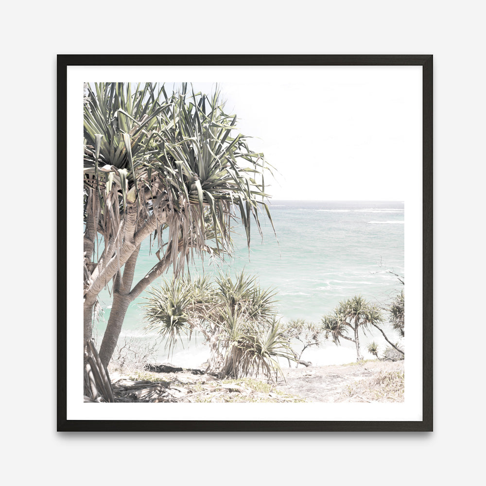 Shop Palm Tree Views (Square) Photo Art Print a coastal themed photography wall art print from The Print Emporium wall artwork collection - Buy Australian made fine art poster and framed prints for the home and your interior decor, TPE-452-AP