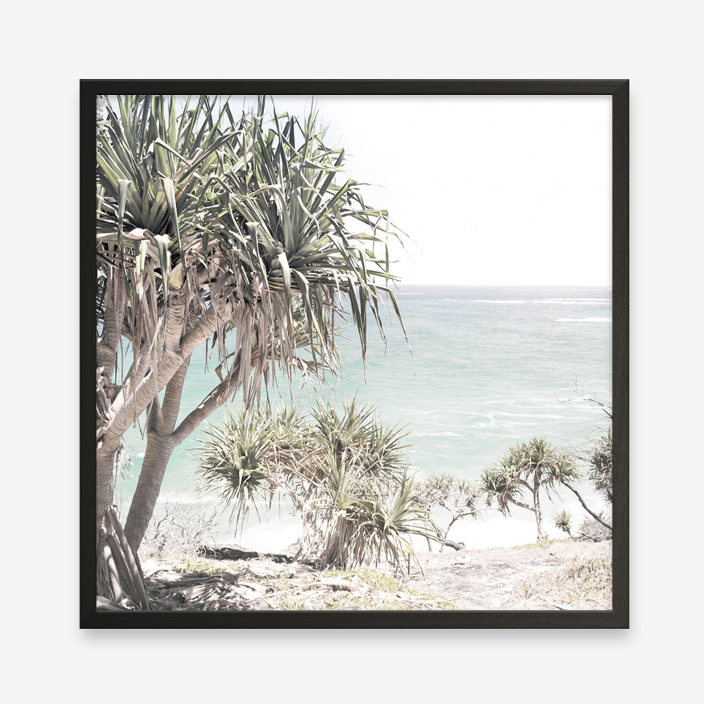 Shop Palm Tree Views (Square) Photo Art Print a coastal themed photography wall art print from The Print Emporium wall artwork collection - Buy Australian made fine art poster and framed prints for the home and your interior decor, TPE-452-AP
