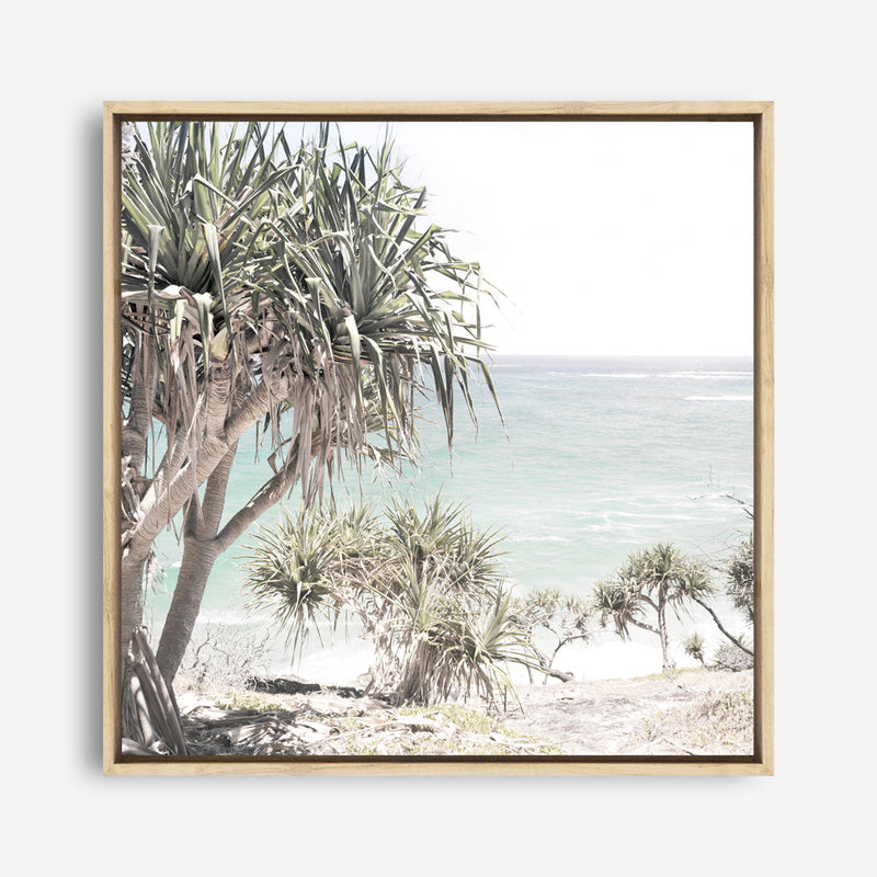 Shop Palm Tree Views (Square) Photo Canvas a coastal themed photography framed stretched canvas print from The Print Emporium wall artwork collection - Buy Australian made prints for the home and your interior decor space, TPE-452-CA-40X40-NF