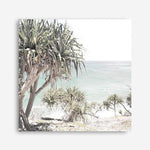 Shop Palm Tree Views (Square) Photo Canvas a coastal themed photography framed stretched canvas print from The Print Emporium wall artwork collection - Buy Australian made prints for the home and your interior decor space, TPE-452-CA-40X40-NF