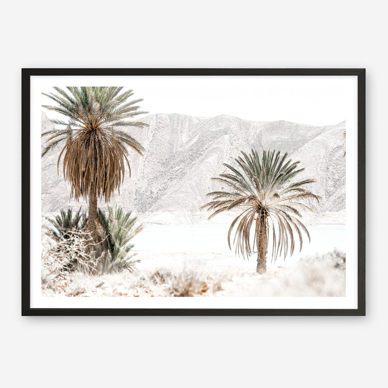 Shop Palm Valley Photo Art Print a coastal themed photography wall art print from The Print Emporium wall artwork collection - Buy Australian made fine art poster and framed prints for the home and your interior decor, TPE-1157-AP