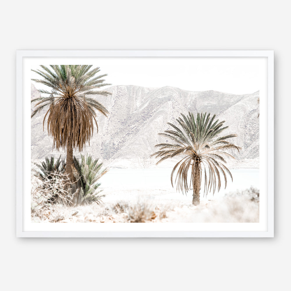 Shop Palm Valley Photo Art Print a coastal themed photography wall art print from The Print Emporium wall artwork collection - Buy Australian made fine art poster and framed prints for the home and your interior decor, TPE-1157-AP