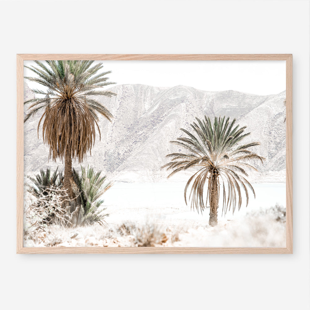 Shop Palm Valley Photo Art Print a coastal themed photography wall art print from The Print Emporium wall artwork collection - Buy Australian made fine art poster and framed prints for the home and your interior decor, TPE-1157-AP