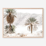 Shop Palm Valley Photo Art Print a coastal themed photography wall art print from The Print Emporium wall artwork collection - Buy Australian made fine art poster and framed prints for the home and your interior decor, TPE-1157-AP