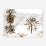Shop Palm Valley Photo Art Print a coastal themed photography wall art print from The Print Emporium wall artwork collection - Buy Australian made fine art poster and framed prints for the home and your interior decor, TPE-1157-AP