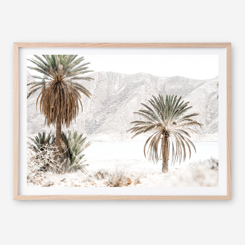 Shop Palm Valley Photo Art Print a coastal themed photography wall art print from The Print Emporium wall artwork collection - Buy Australian made fine art poster and framed prints for the home and your interior decor, TPE-1157-AP