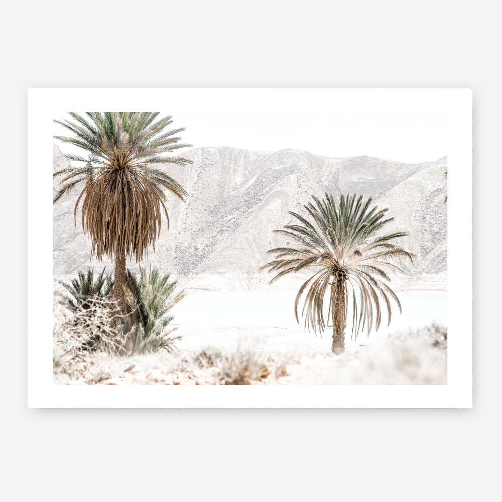 Shop Palm Valley Photo Art Print a coastal themed photography wall art print from The Print Emporium wall artwork collection - Buy Australian made fine art poster and framed prints for the home and your interior decor, TPE-1157-AP