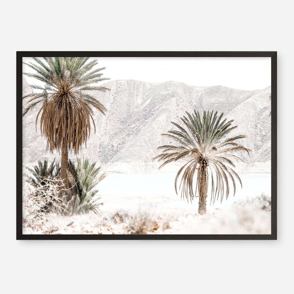 Shop Palm Valley Photo Art Print a coastal themed photography wall art print from The Print Emporium wall artwork collection - Buy Australian made fine art poster and framed prints for the home and your interior decor, TPE-1157-AP