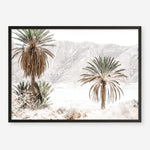 Shop Palm Valley Photo Art Print a coastal themed photography wall art print from The Print Emporium wall artwork collection - Buy Australian made fine art poster and framed prints for the home and your interior decor, TPE-1157-AP