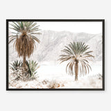 Shop Palm Valley Photo Art Print a coastal themed photography wall art print from The Print Emporium wall artwork collection - Buy Australian made fine art poster and framed prints for the home and your interior decor, TPE-1157-AP