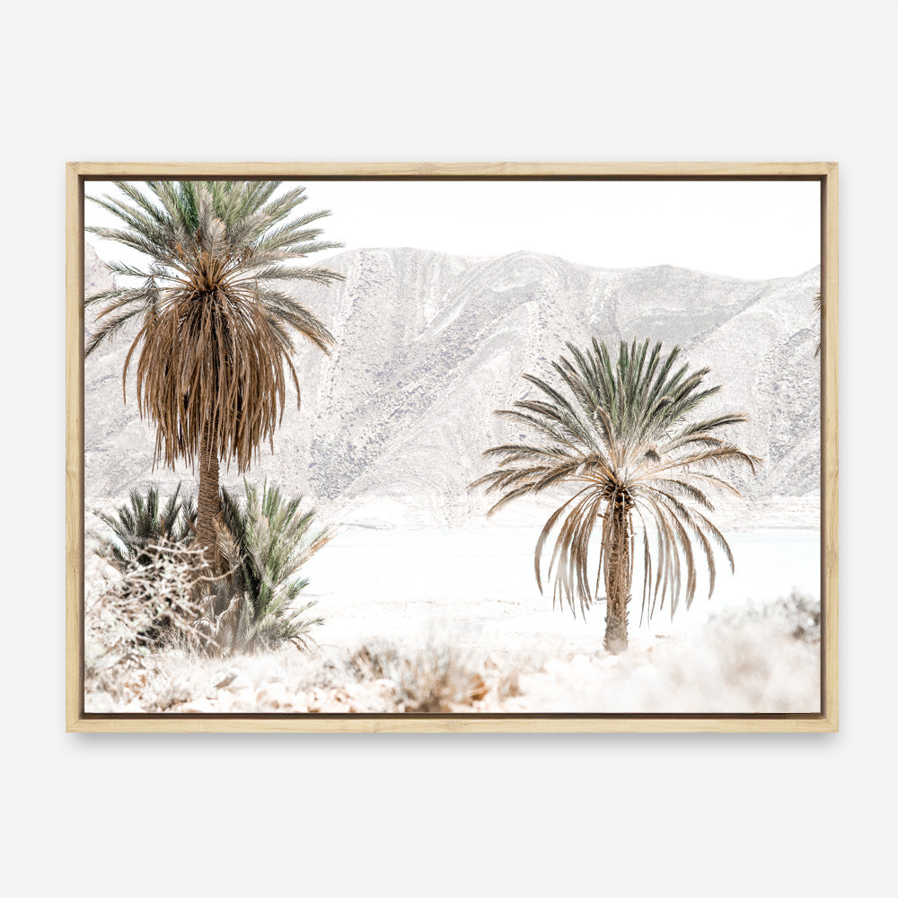 Shop Palm Valley Photo Canvas Print a coastal themed photography framed stretched canvas print from The Print Emporium wall artwork collection - Buy Australian made prints for the home and your interior decor space, TPE-1157-CA-35X46-NF