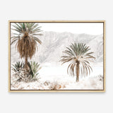 Shop Palm Valley Photo Canvas Print a coastal themed photography framed stretched canvas print from The Print Emporium wall artwork collection - Buy Australian made prints for the home and your interior decor space, TPE-1157-CA-35X46-NF