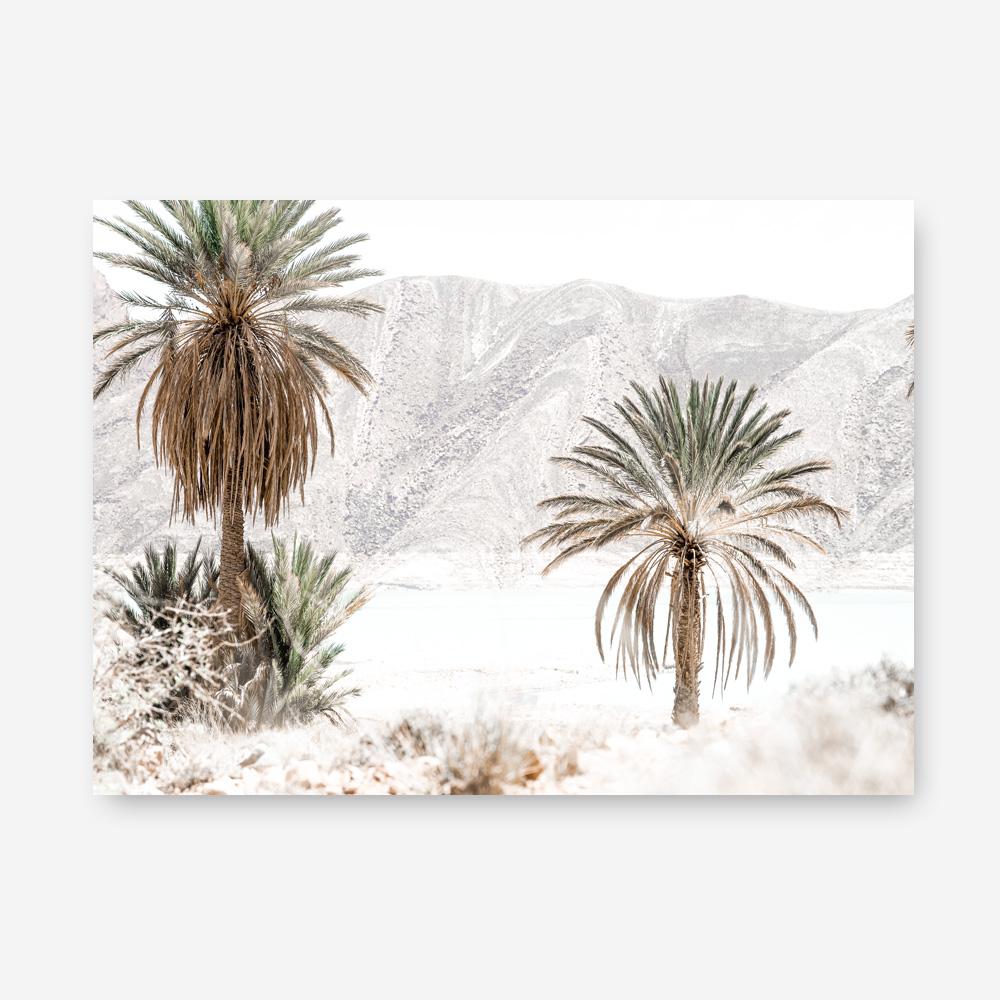Shop Palm Valley Photo Canvas Print a coastal themed photography framed stretched canvas print from The Print Emporium wall artwork collection - Buy Australian made prints for the home and your interior decor space, TPE-1157-CA-35X46-NF