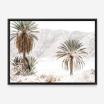 Shop Palm Valley Photo Canvas Print a coastal themed photography framed stretched canvas print from The Print Emporium wall artwork collection - Buy Australian made prints for the home and your interior decor space, TPE-1157-CA-35X46-NF