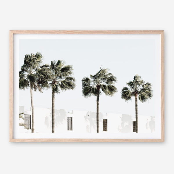 Shop Palm Villa Photo Art Print a coastal themed photography wall art print from The Print Emporium wall artwork collection - Buy Australian made fine art poster and framed prints for the home and your interior decor, TPE-1236-AP