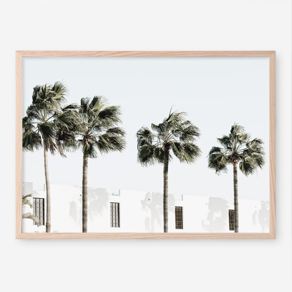 Shop Palm Villa Photo Art Print a coastal themed photography wall art print from The Print Emporium wall artwork collection - Buy Australian made fine art poster and framed prints for the home and your interior decor, TPE-1236-AP