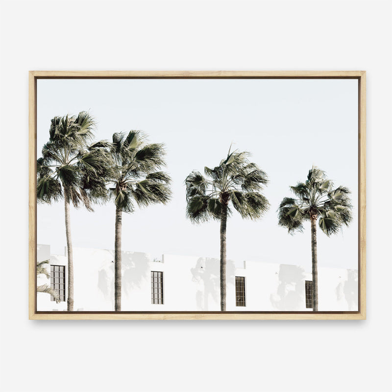 Shop Palm Villa Photo Canvas Print a coastal themed photography framed stretched canvas print from The Print Emporium wall artwork collection - Buy Australian made prints for the home and your interior decor space, TPE-1236-CA-35X46-NF