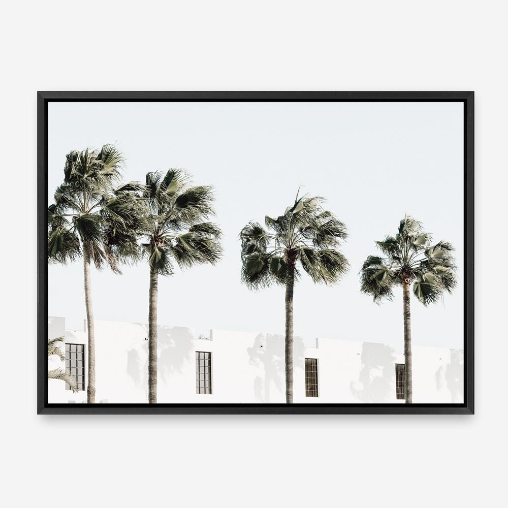 Shop Palm Villa Photo Canvas Print a coastal themed photography framed stretched canvas print from The Print Emporium wall artwork collection - Buy Australian made prints for the home and your interior decor space, TPE-1236-CA-35X46-NF