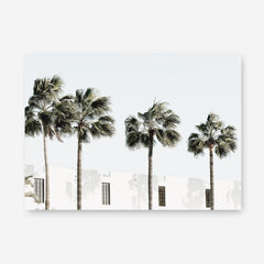 Shop Palm Villa Photo Canvas Print a coastal themed photography framed stretched canvas print from The Print Emporium wall artwork collection - Buy Australian made prints for the home and your interior decor space, TPE-1236-CA-35X46-NF