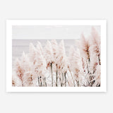 Shop Pampas Grass II Photo Art Print a coastal themed photography wall art print from The Print Emporium wall artwork collection - Buy Australian made fine art poster and framed prints for the home and your interior decor, TPE-785-AP