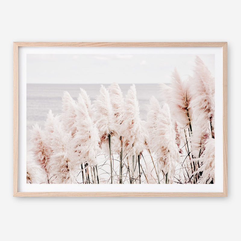 Shop Pampas Grass II Photo Art Print a coastal themed photography wall art print from The Print Emporium wall artwork collection - Buy Australian made fine art poster and framed prints for the home and your interior decor, TPE-785-AP