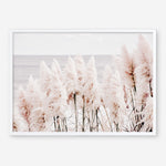Shop Pampas Grass II Photo Art Print a coastal themed photography wall art print from The Print Emporium wall artwork collection - Buy Australian made fine art poster and framed prints for the home and your interior decor, TPE-785-AP