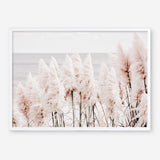 Shop Pampas Grass II Photo Art Print a coastal themed photography wall art print from The Print Emporium wall artwork collection - Buy Australian made fine art poster and framed prints for the home and your interior decor, TPE-785-AP