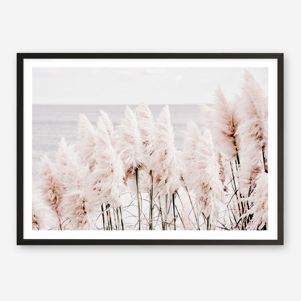 Shop Pampas Grass II Photo Art Print a coastal themed photography wall art print from The Print Emporium wall artwork collection - Buy Australian made fine art poster and framed prints for the home and your interior decor, TPE-785-AP