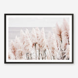 Shop Pampas Grass II Photo Art Print a coastal themed photography wall art print from The Print Emporium wall artwork collection - Buy Australian made fine art poster and framed prints for the home and your interior decor, TPE-785-AP