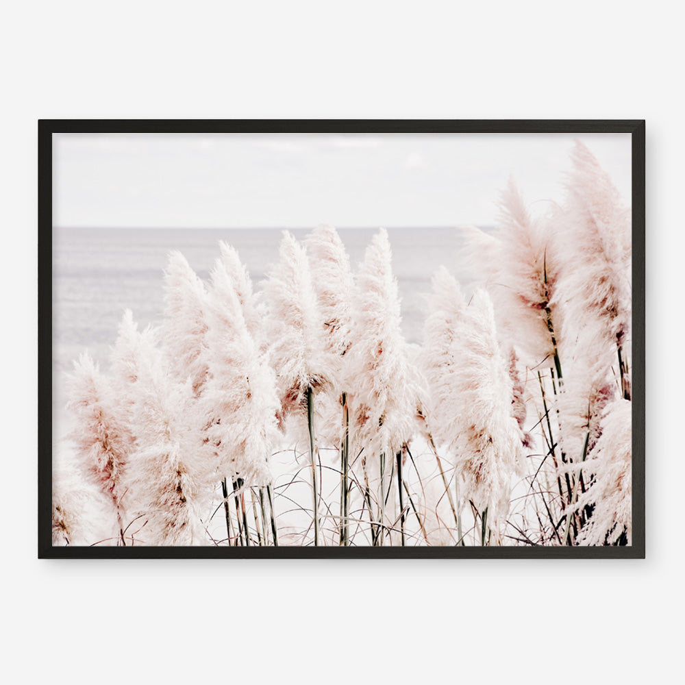 Shop Pampas Grass II Photo Art Print a coastal themed photography wall art print from The Print Emporium wall artwork collection - Buy Australian made fine art poster and framed prints for the home and your interior decor, TPE-785-AP