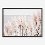 Shop Pampas Grass II Photo Art Print a coastal themed photography wall art print from The Print Emporium wall artwork collection - Buy Australian made fine art poster and framed prints for the home and your interior decor, TPE-785-AP