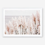 Shop Pampas Grass II Photo Art Print a coastal themed photography wall art print from The Print Emporium wall artwork collection - Buy Australian made fine art poster and framed prints for the home and your interior decor, TPE-785-AP