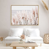 Shop Pampas Grass II Photo Canvas Print a coastal themed photography framed stretched canvas print from The Print Emporium wall artwork collection - Buy Australian made prints for the home and your interior decor space, TPE-785-CA-35X46-NF
