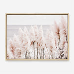 Shop Pampas Grass II Photo Canvas Print a coastal themed photography framed stretched canvas print from The Print Emporium wall artwork collection - Buy Australian made prints for the home and your interior decor space, TPE-785-CA-35X46-NF