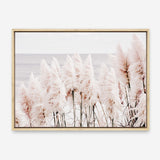 Shop Pampas Grass II Photo Canvas Print a coastal themed photography framed stretched canvas print from The Print Emporium wall artwork collection - Buy Australian made prints for the home and your interior decor space, TPE-785-CA-35X46-NF