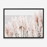 Shop Pampas Grass II Photo Canvas Print a coastal themed photography framed stretched canvas print from The Print Emporium wall artwork collection - Buy Australian made prints for the home and your interior decor space, TPE-785-CA-35X46-NF