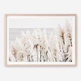 Shop Pampas Grass Photo Art Print a coastal themed photography wall art print from The Print Emporium wall artwork collection - Buy Australian made fine art poster and framed prints for the home and your interior decor, TPE-784-AP