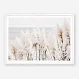 Shop Pampas Grass Photo Art Print a coastal themed photography wall art print from The Print Emporium wall artwork collection - Buy Australian made fine art poster and framed prints for the home and your interior decor, TPE-784-AP