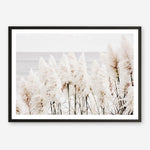 Shop Pampas Grass Photo Art Print a coastal themed photography wall art print from The Print Emporium wall artwork collection - Buy Australian made fine art poster and framed prints for the home and your interior decor, TPE-784-AP
