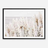 Shop Pampas Grass Photo Art Print a coastal themed photography wall art print from The Print Emporium wall artwork collection - Buy Australian made fine art poster and framed prints for the home and your interior decor, TPE-784-AP