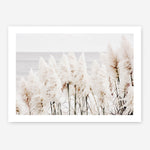 Shop Pampas Grass Photo Art Print a coastal themed photography wall art print from The Print Emporium wall artwork collection - Buy Australian made fine art poster and framed prints for the home and your interior decor, TPE-784-AP