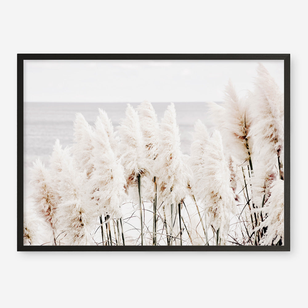 Shop Pampas Grass Photo Art Print a coastal themed photography wall art print from The Print Emporium wall artwork collection - Buy Australian made fine art poster and framed prints for the home and your interior decor, TPE-784-AP