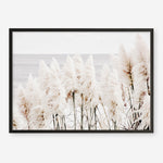 Shop Pampas Grass Photo Art Print a coastal themed photography wall art print from The Print Emporium wall artwork collection - Buy Australian made fine art poster and framed prints for the home and your interior decor, TPE-784-AP