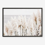Shop Pampas Grass Photo Art Print a coastal themed photography wall art print from The Print Emporium wall artwork collection - Buy Australian made fine art poster and framed prints for the home and your interior decor, TPE-784-AP