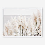 Shop Pampas Grass Photo Art Print a coastal themed photography wall art print from The Print Emporium wall artwork collection - Buy Australian made fine art poster and framed prints for the home and your interior decor, TPE-784-AP