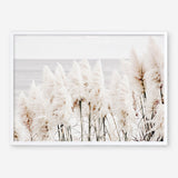 Shop Pampas Grass Photo Art Print a coastal themed photography wall art print from The Print Emporium wall artwork collection - Buy Australian made fine art poster and framed prints for the home and your interior decor, TPE-784-AP
