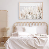 Shop Pampas Grass Photo Art Print a coastal themed photography wall art print from The Print Emporium wall artwork collection - Buy Australian made fine art poster and framed prints for the home and your interior decor, TPE-784-AP